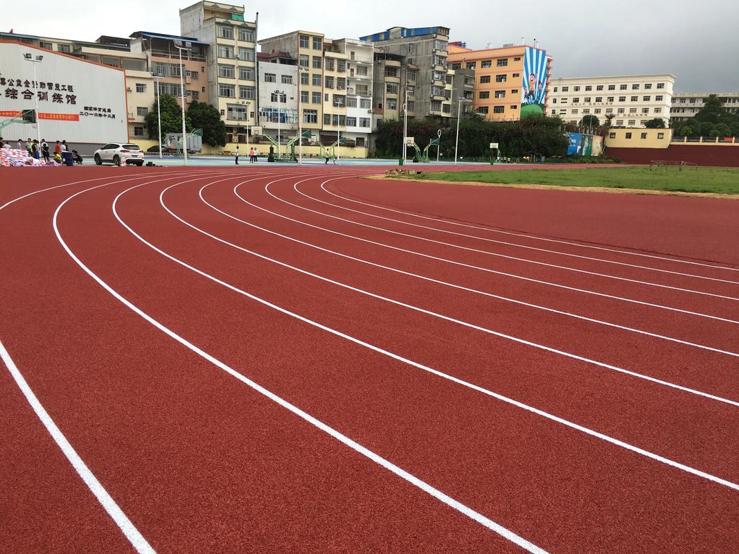 阳江市学校塑胶跑道塑胶跑道材料 - 推荐